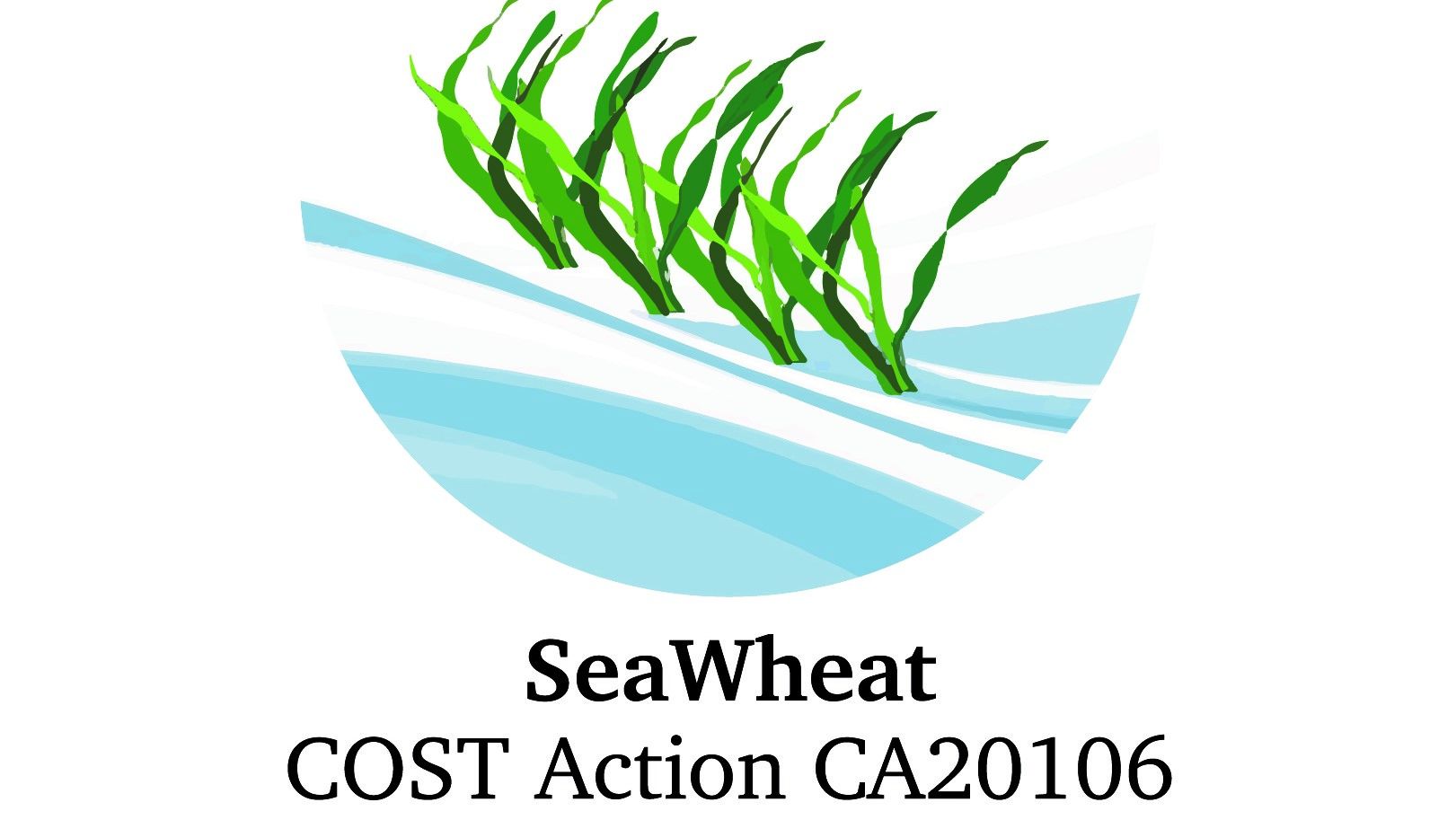 Seawheat Training Schools