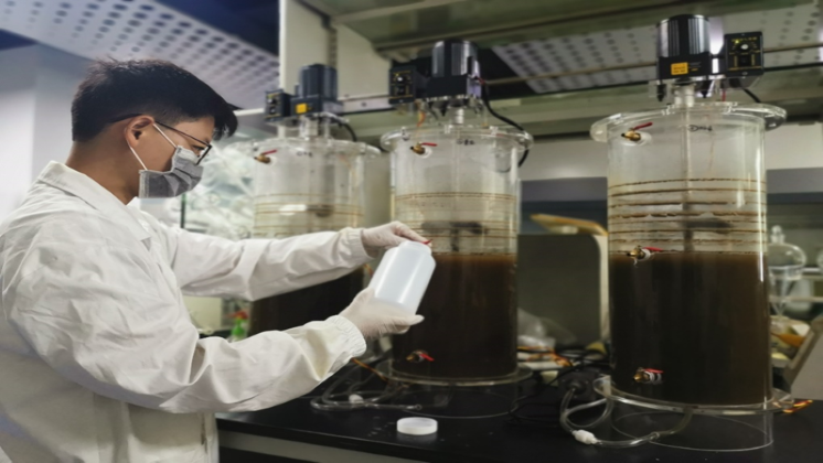 Aquaculture sludge as basis for sustainable feeds for sea cucumber