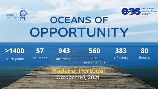Oceans of Opportunities